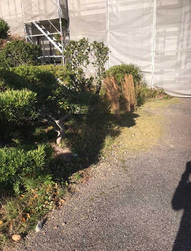 犬山市 病院の草刈り(2019年12月)作業前その1