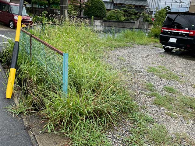 駐車場の草刈り(日進市)2022年7月 | 草刈り・除草の専門業者 おかげ屋