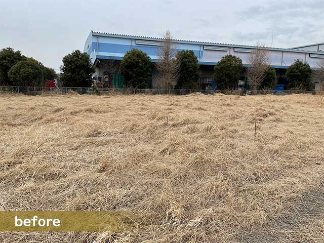 埼玉県久喜市 法人様所有地の大規模な草刈り(20222月)作業前